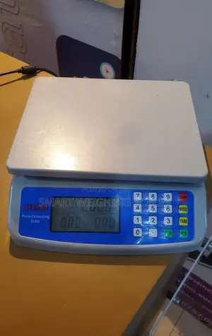 Digital Weighing Scale 30kg Kitchen Weigh Digital Weighing Scale