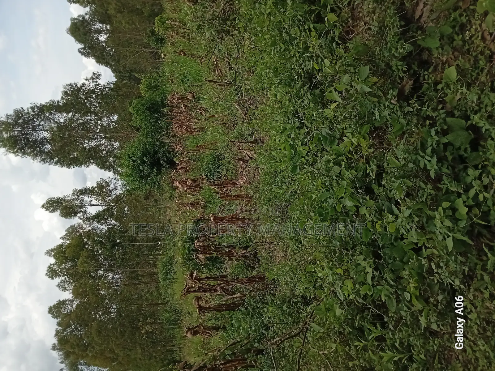 5 Acres of Private Mailo Land