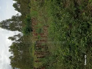 5 Acres of Private Mailo Land