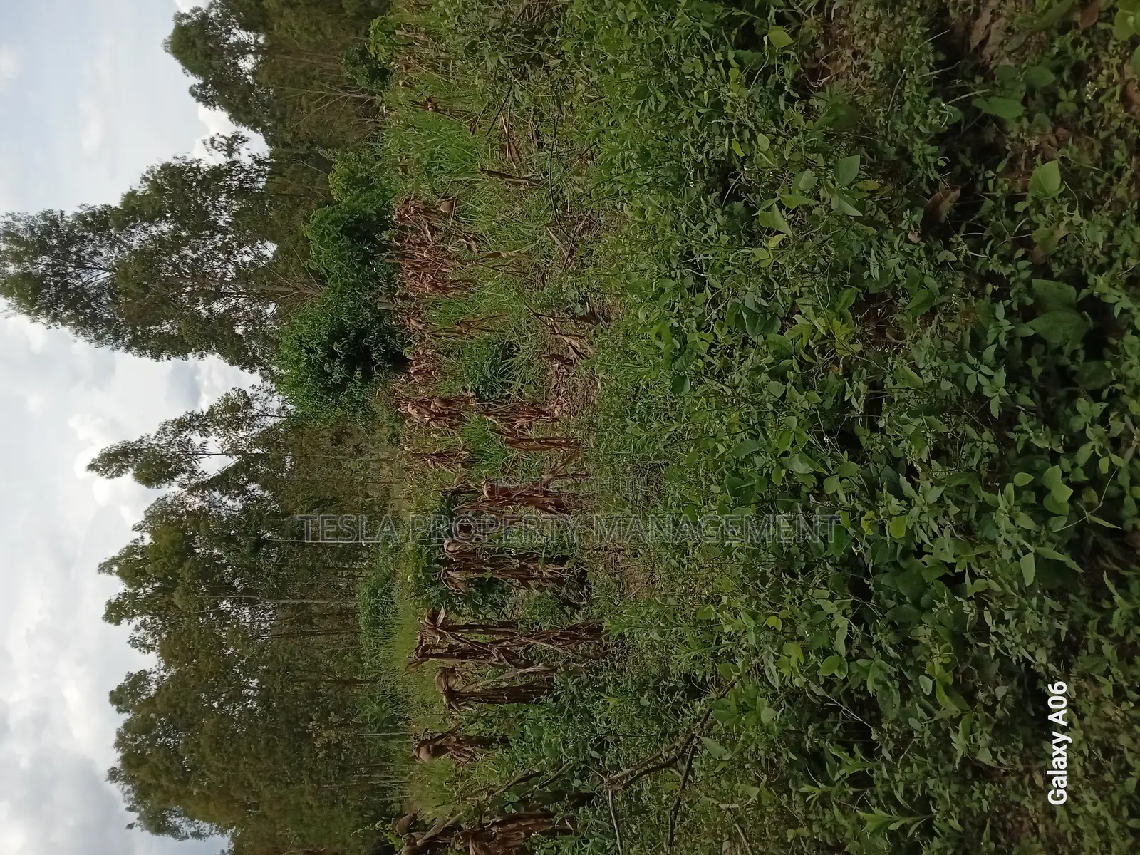 5 Acres of Private Mailo Land