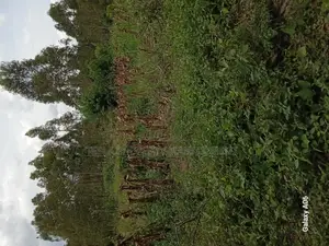 5 Acres of Private Mailo Land
