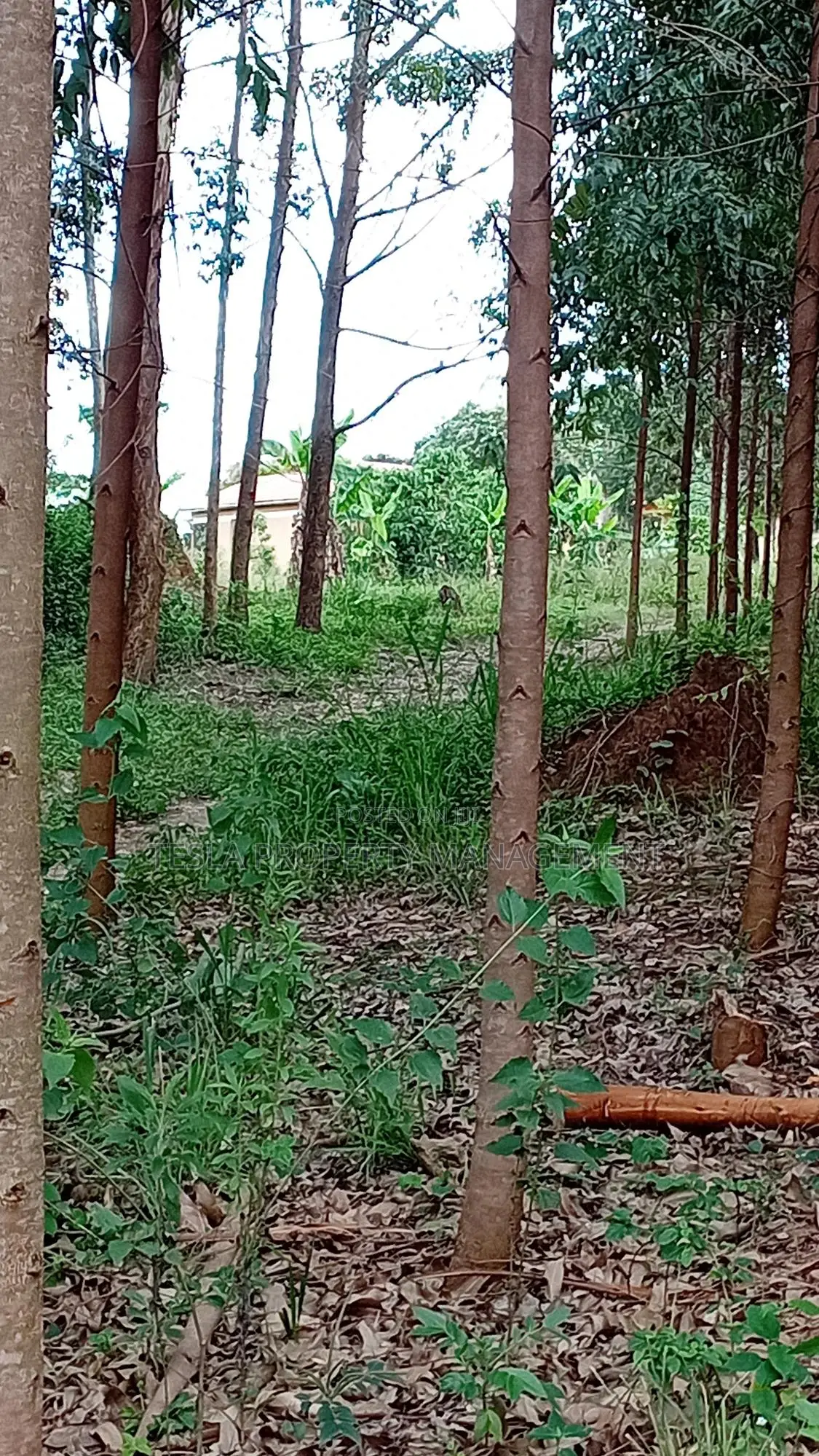 5 Acres of Private Mailo Land