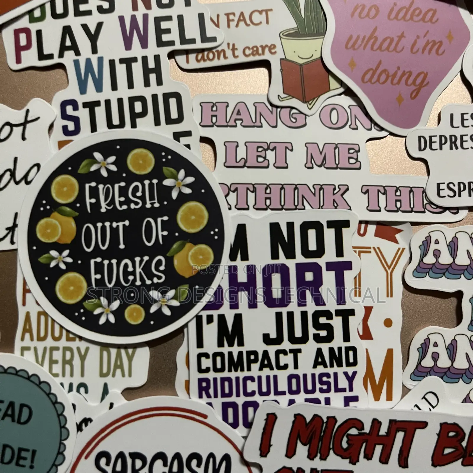 Sarcastic Quotes Stickers. Laptops/Computers/ Books/ Bottles/Walls