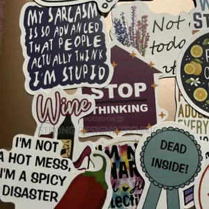 Sarcastic Quotes Stickers. Laptops/Computers/ Books/ Bottles/Walls