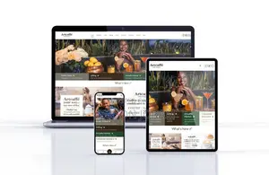 Web Applications and Website Designing
