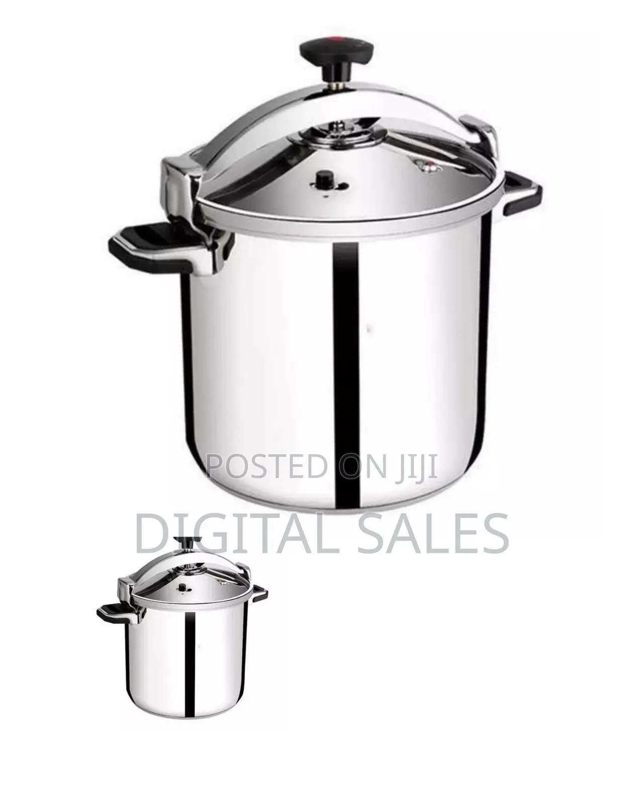 Regina 30l Pressure Cooker Saucepan Cookware Pot