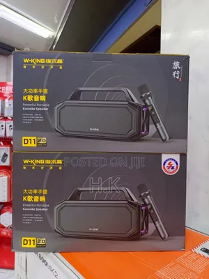 W-King D11 2.0 Powerful Portable Karaoke Speaker.