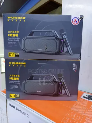 W-King D11 2.0 Powerful Portable Karaoke Speaker.