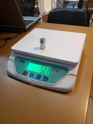 Electronic Weighing Scale 30kg Weight Electronic Weighing Scale