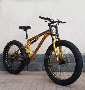 Adult Big Tyre Bicycle Gold