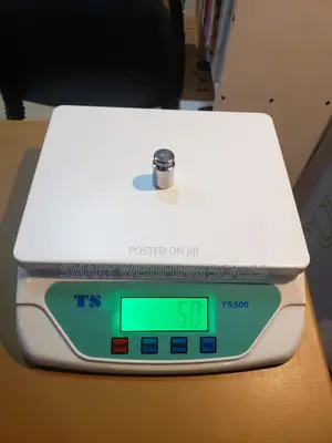 Electronic Weighing Scale Compact Shop Electronic Weighing Scale