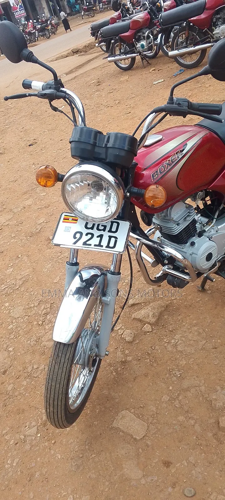 Bajaj Boxer 100 2024 Red