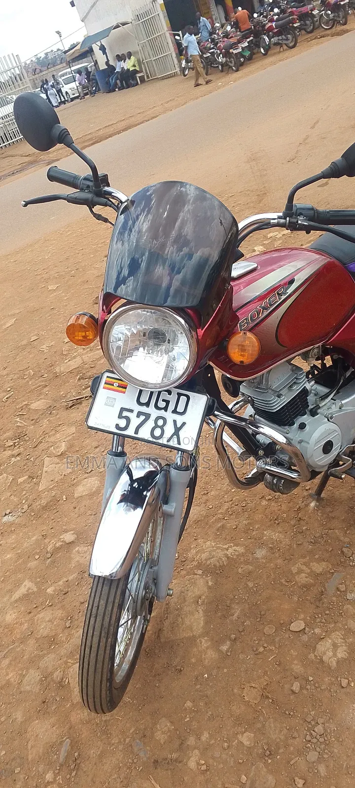 Bajaj Boxer 100 2024 Red