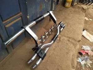 All Car Guards (Pair)