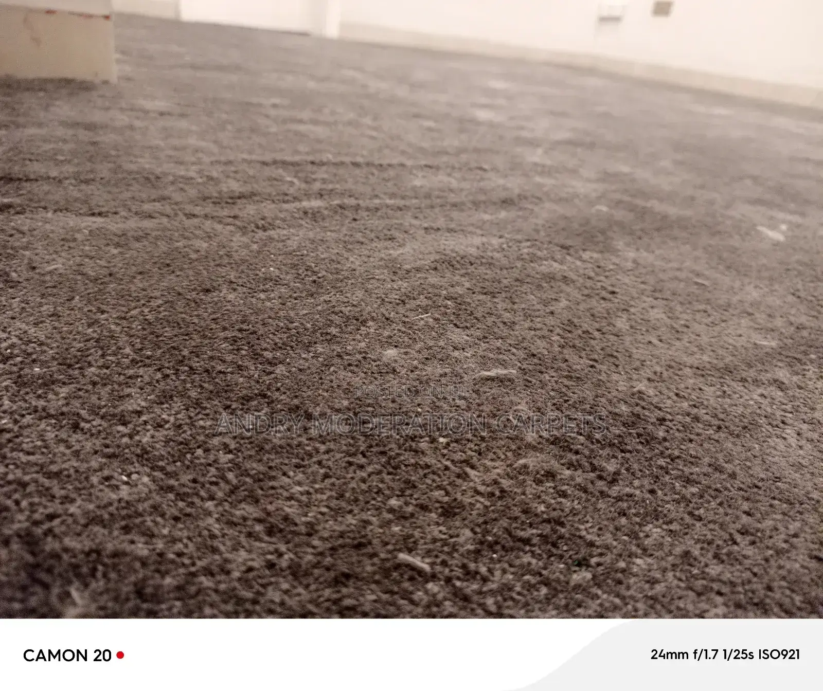 Executive Soft Galaxy Woolen Carpets