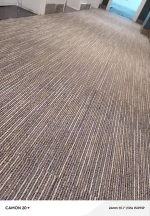 Fany Office PVC Tiles Carpets