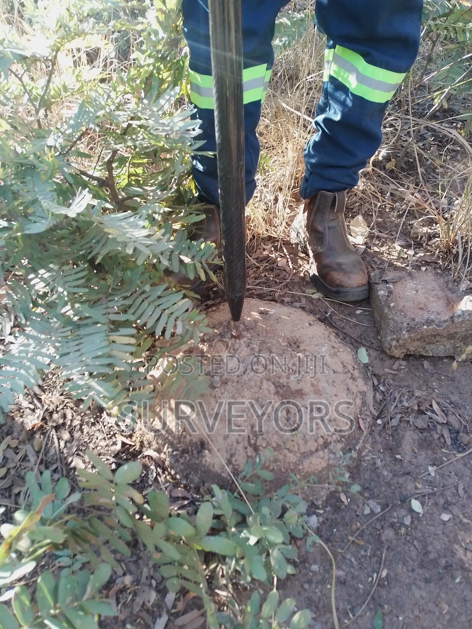 Boundary | Land Marking Surveys
