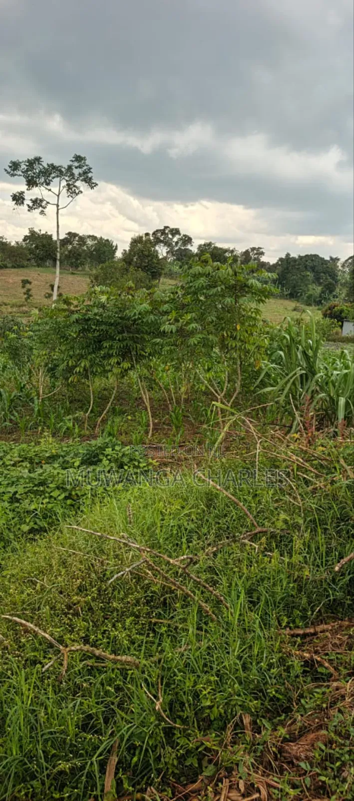 12decimals on Quick Sale in Kabanyolo