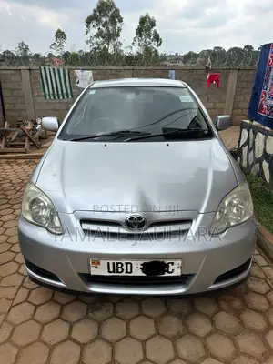 Toyota Allex 2006 Silver
