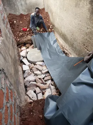 Biodigester System for Two Toilets