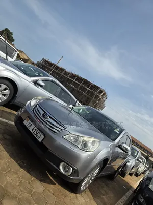Subaru Outback 2.5i Premium PZEV 2012 Gray