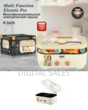Raf 6l Big Capacity 2 in 1 Multifunctional Electric Hot Pot