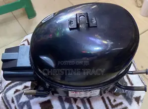 Refrigerator Compressor