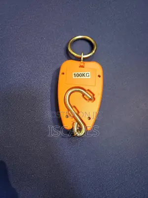 Hanging Weighing Scale 300kg Portable Hanging Weighing Scale