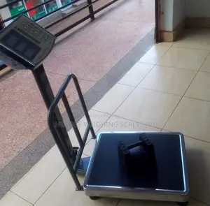 Good Quality Weighing Scale Machine 350kg Weighing Scale