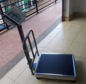 Weighing Scale Machine Platform 300kg-350kg Weighing Scale[10]
