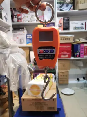 Hanging Weighing Scale 200kg Light Weight Hanging Weighing Scale