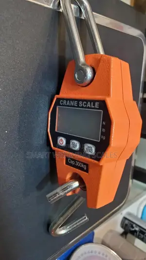 Compact Digital Hanging Weighing Scale 300kg Hanging Weighing Scale