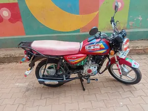 Bajaj CT 110X 2024 Red