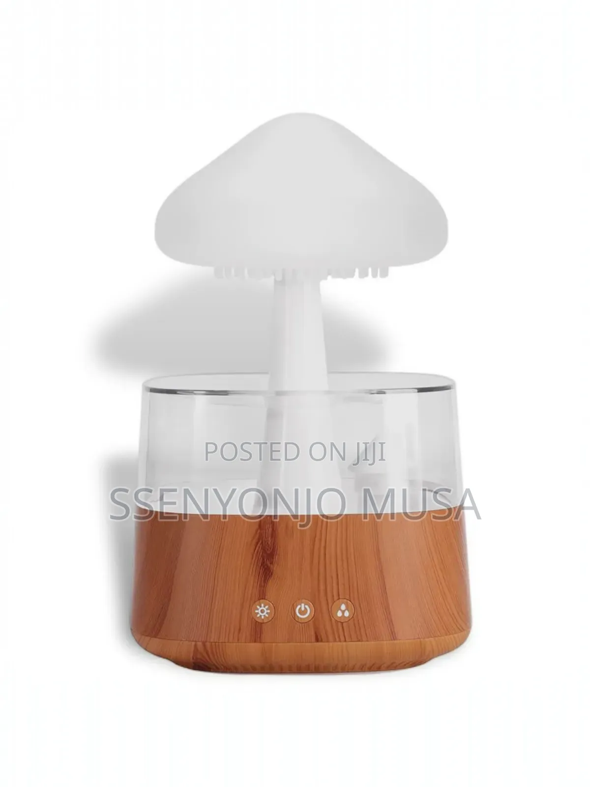 Rain Cloud Humidifier-3-in-1 Humidifier,Oil Diffuser Light