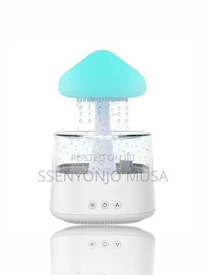 Rain Cloud Humidifier-3-in-1 Humidifier,Oil Diffuser Light