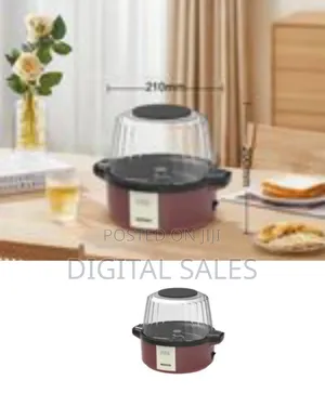 Winning Star 700w 2l Electric Household Stirring Hot Oil Mini Hot