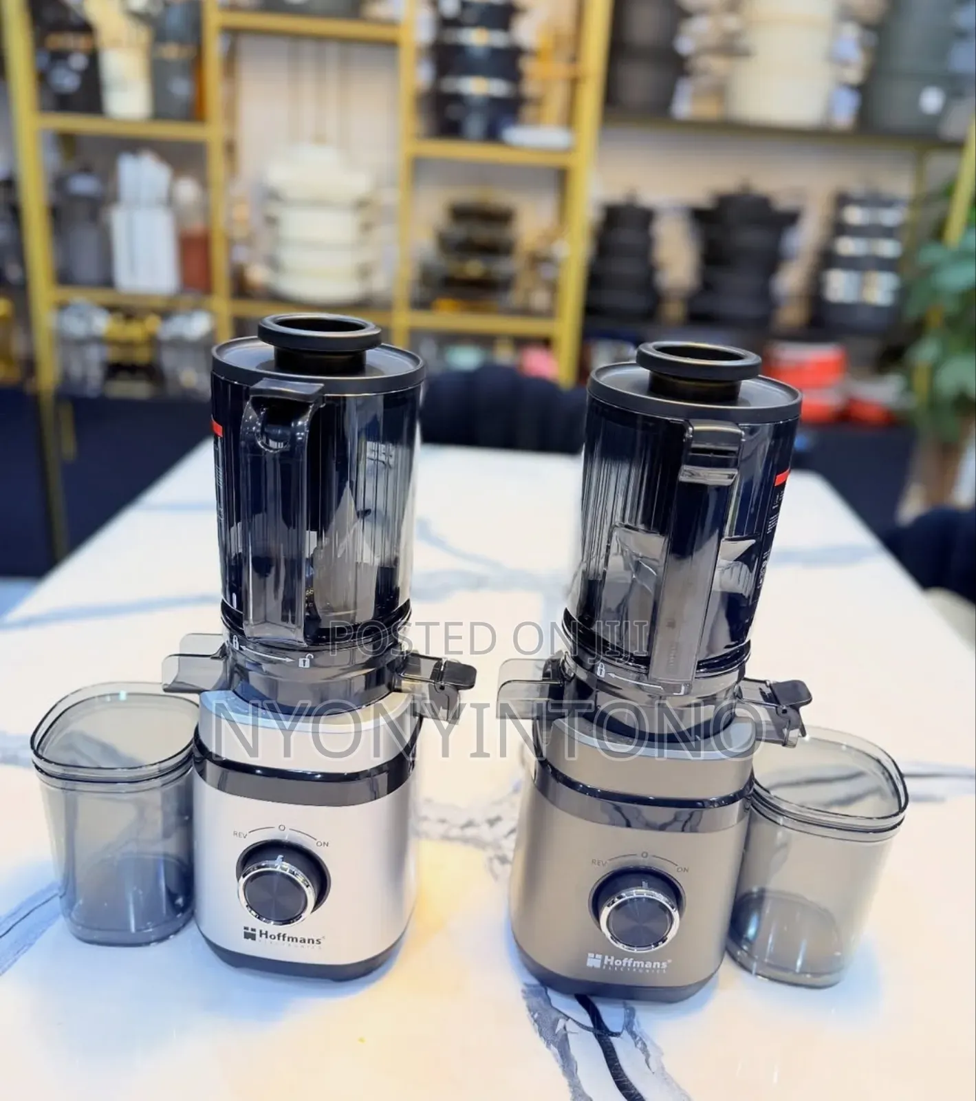 Hoffmans Hm-640 Top-Quality Slow Juicer With Extra Large Feeding Tube