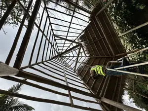 Thatched Grass House Construction