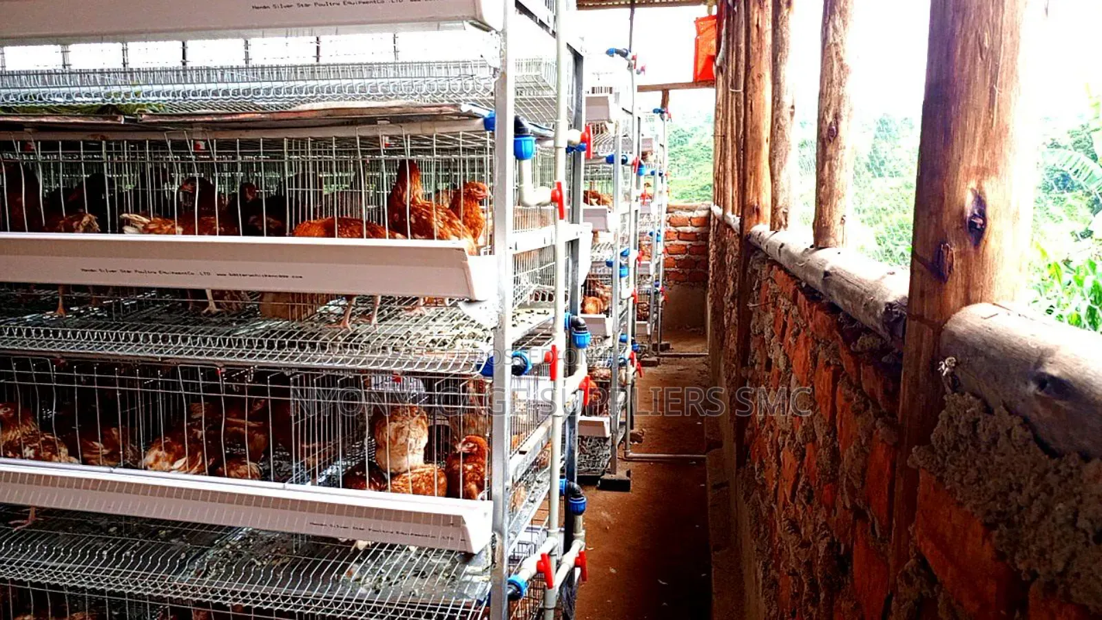 Nyonyi Cage Supplies
