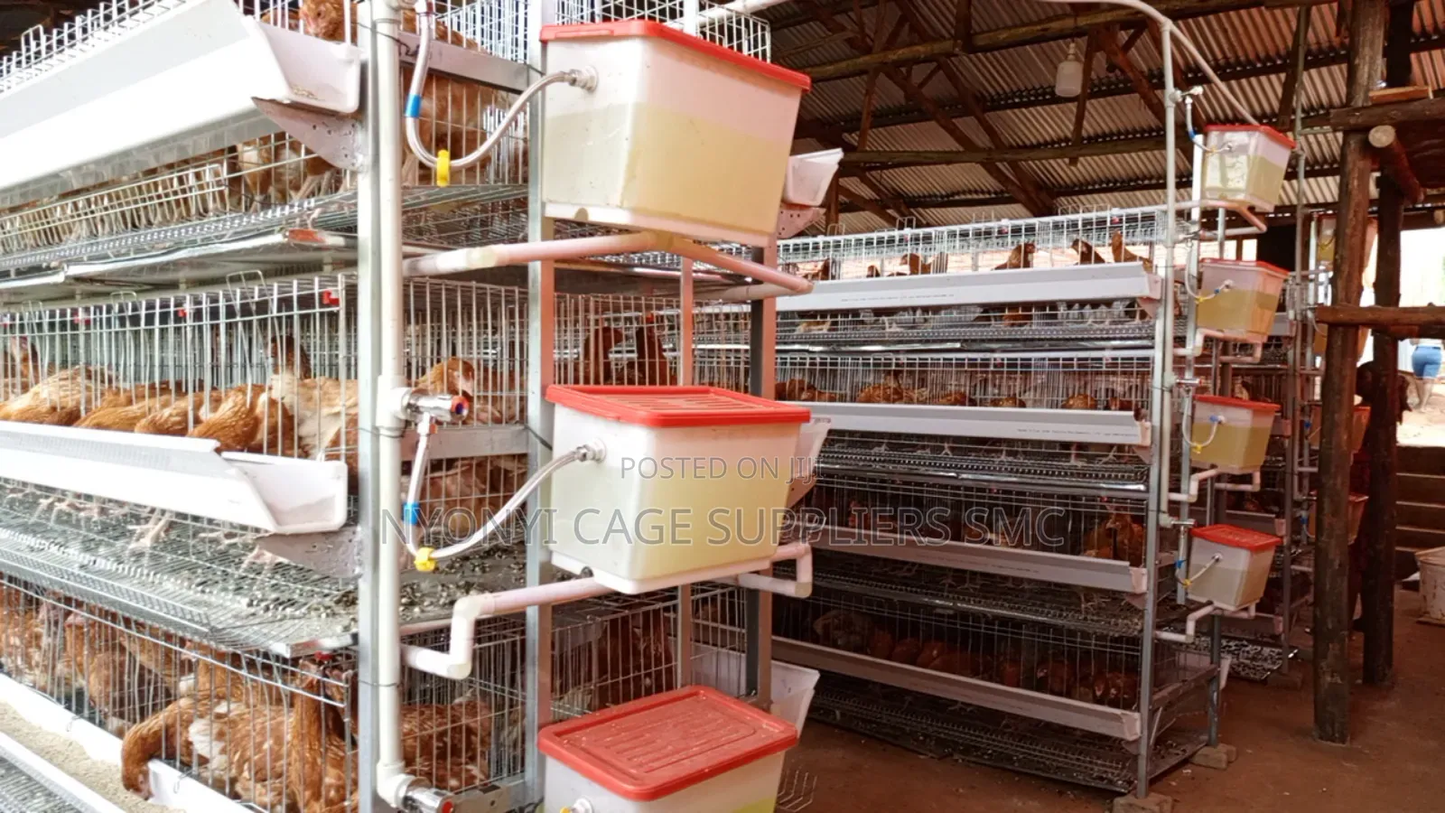 Nyonyi Cage Supplies