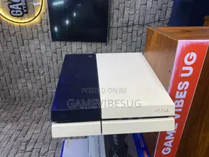 Playstation 4 Standard