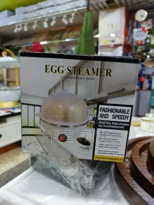 Electric Egg Steamer