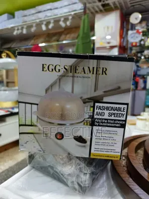 Electric Egg Steamer
