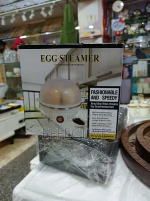 Electric Egg Steamer