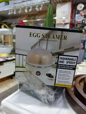 Electric Egg Steamer