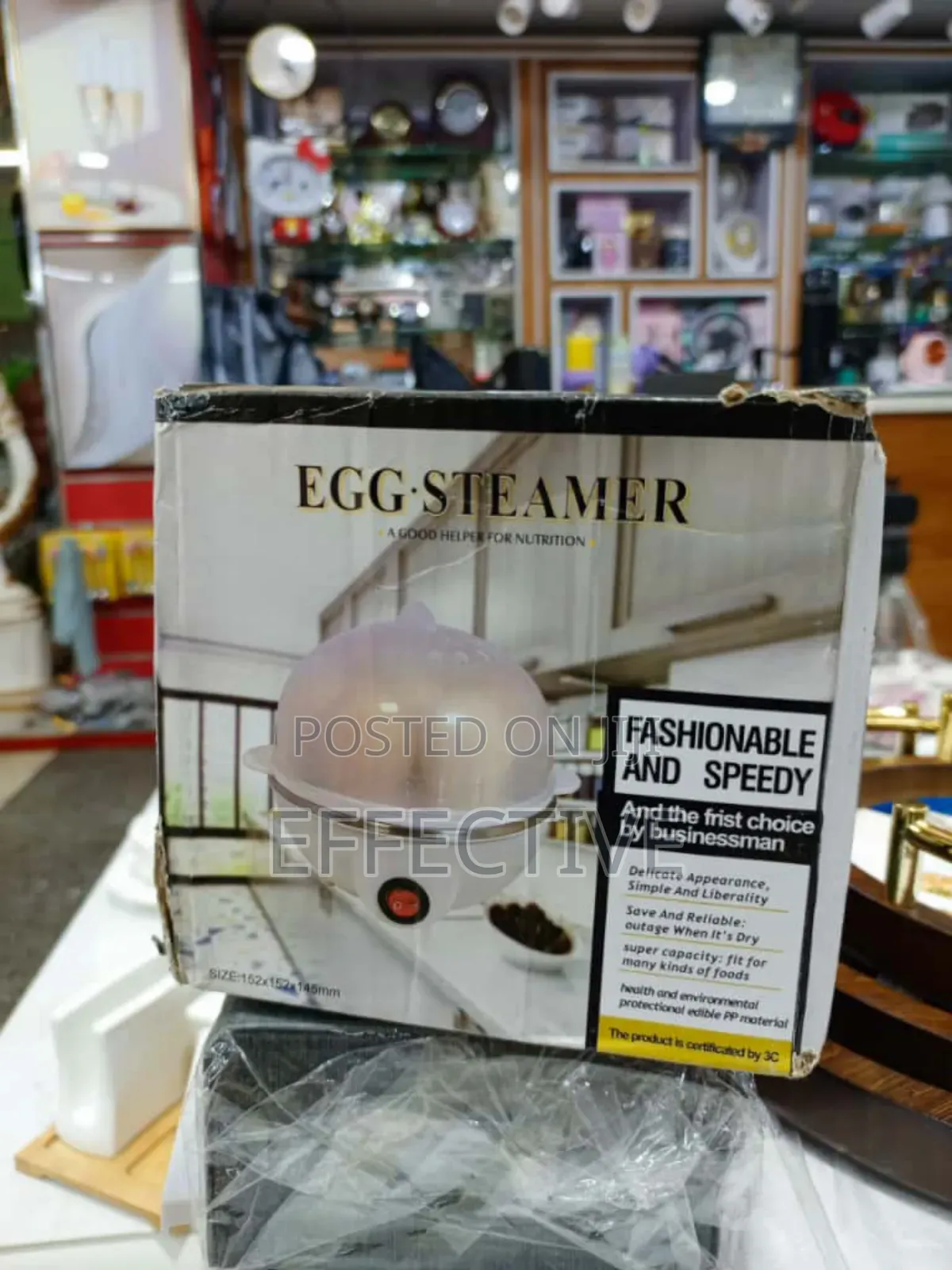 Electric Egg Steamer