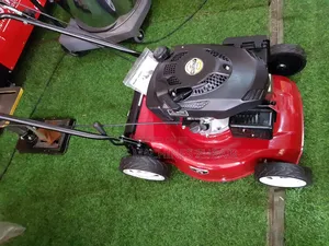 Gasoline Lawnmower