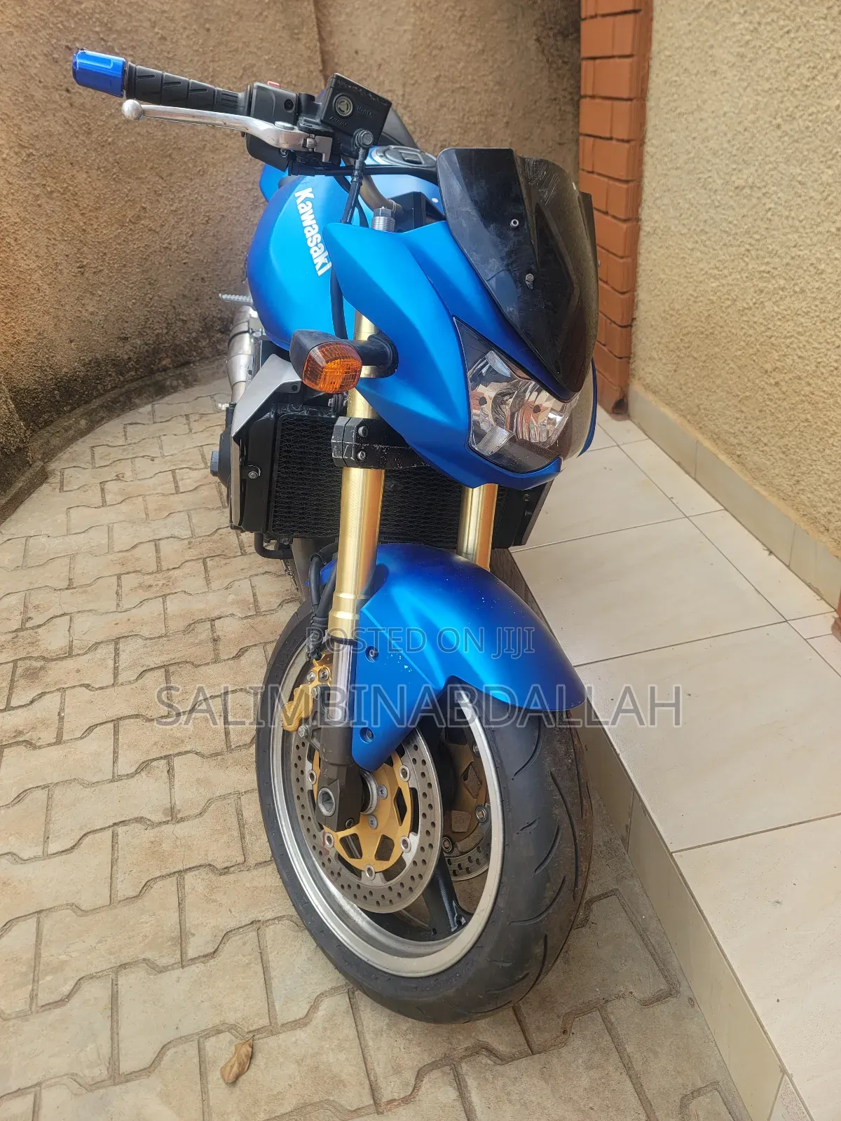 Kawasaki 2007 Blue