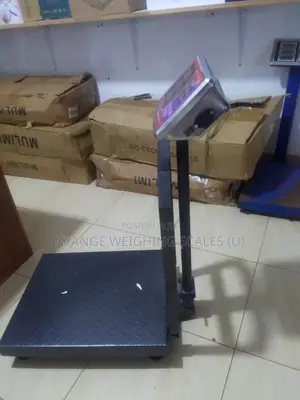 Platform Weighing Scales Supplier 350kg Weigh Scale [002]