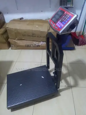 Water Resistance Cast Iron Platform Weighing Scale 350kg Weights